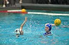 WWPolo vs CC  Wheaton College Women’s Water Polo compete in their sports inaugural match vs Connecticut College. - Photo By: KEITH NORDSTROM : Wheaton, water polo, inaugural